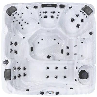 Avalon EC-867L hot tubs for sale in Visalia